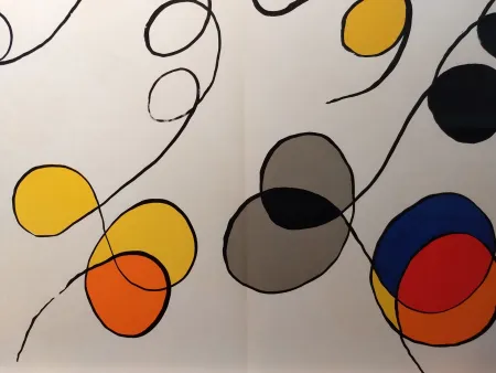 Libro Ilustrado Calder - DLM 173