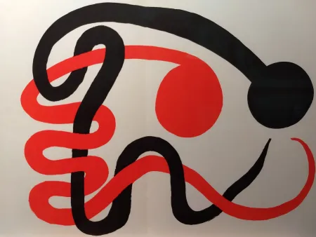 Libro Ilustrado Calder - DLM 201