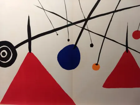 Libro Ilustrado Calder - DLM 69-70
