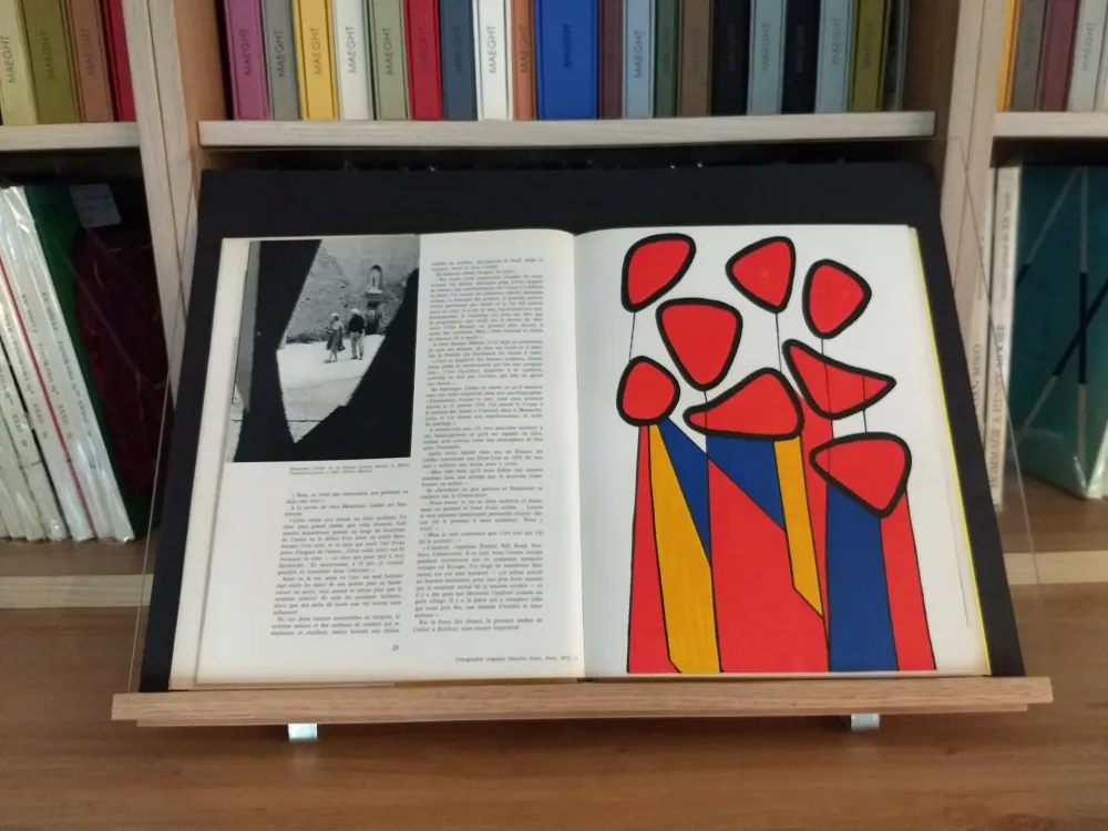 Libro Ilustrado Calder - Hommage