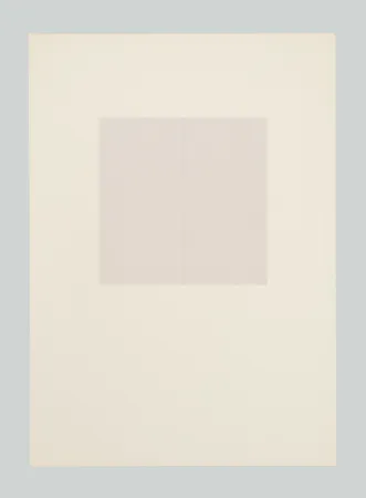 Serigrafía Calderara - E poi (Tav. D)