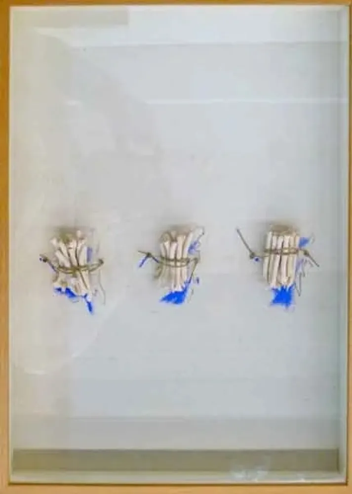 Sin Técnico Calvo - Historia pendiente