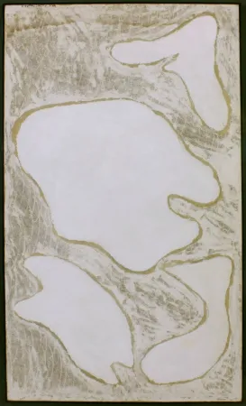 Sin Técnico Campesan - SENZA TITOLO