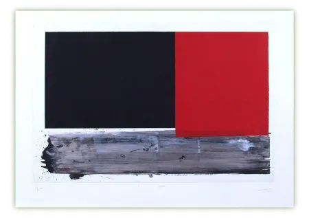 Grabado Canogar - Lecho