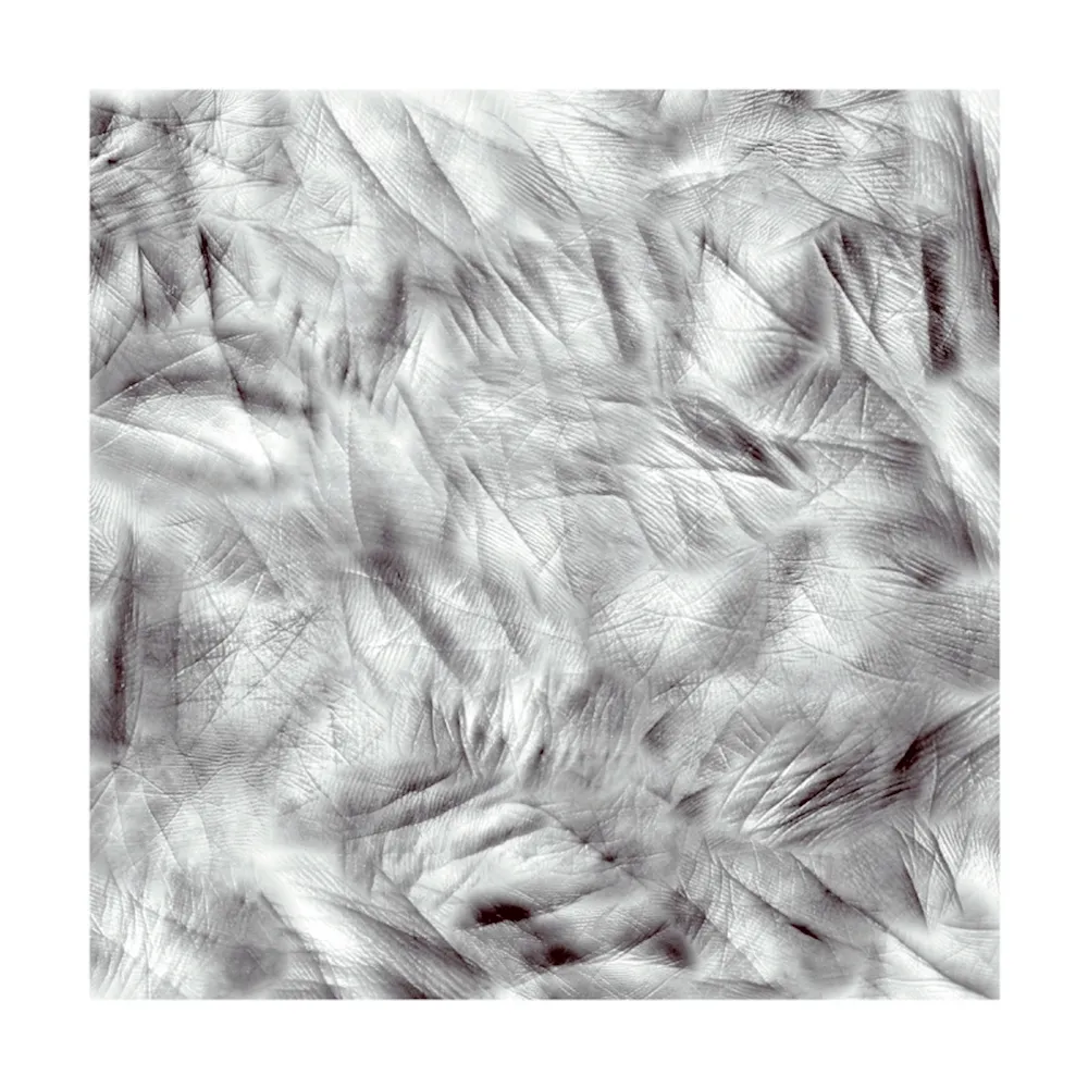 Fotografía Canogar - Life Lines