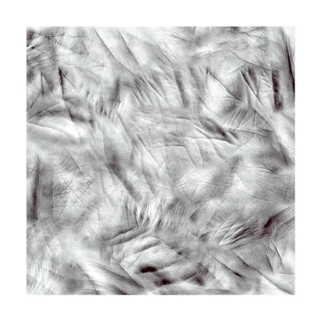 Fotografía Canogar - Life Lines