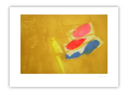 Grabado Capa - Diagonal colors (S.S.)