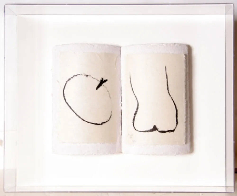 Múltiple Caro - Book of Eden