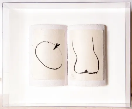 Múltiple Caro - Book of Eden