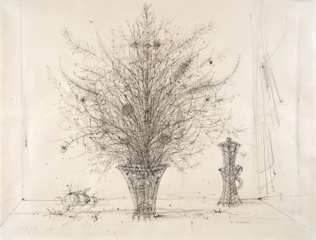 Sin Técnico Carzou - 