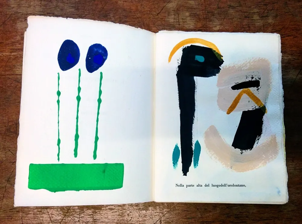 Libro Ilustrado Cascella - Il Magocostruttordivoli