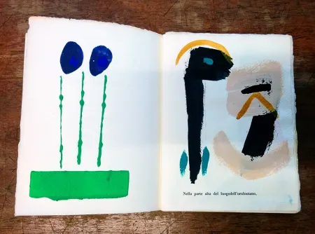 Libro Ilustrado Cascella - Il Magocostruttordivoli