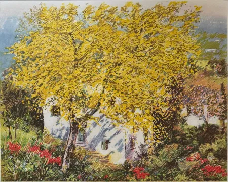 Aguafuerte Cascella - Natura