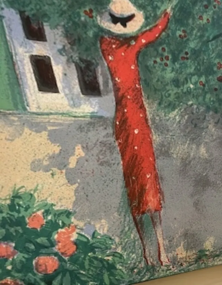 Libro Ilustrado Cassigneul  - CASSIGNEUL