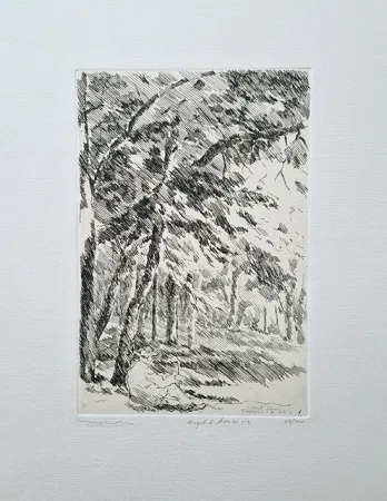 Aguafuerte Castellani - Angolo di bosco
