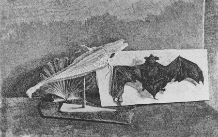 Aguafuerte Castellani - Giravento e nottola