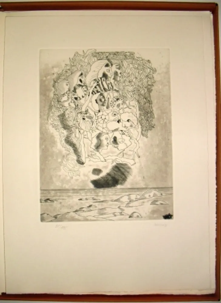 Libro Ilustrado Castillo - Canta a Sola Lisi