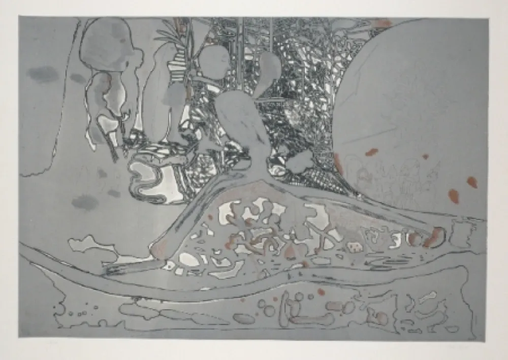 Aguafuerte Y Aguatinta Castillo - Jardin de invierno 2