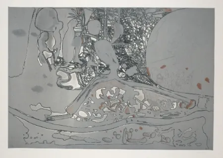 Aguafuerte Y Aguatinta Castillo - Jardin de invierno 2