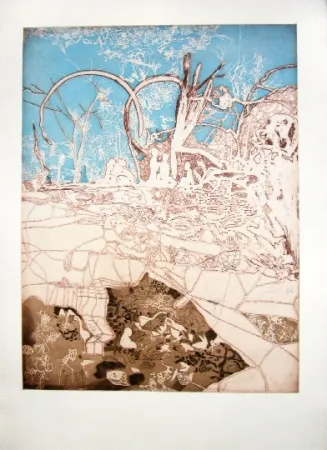 Aguafuerte Y Aguatinta Castillo - Tiergarten