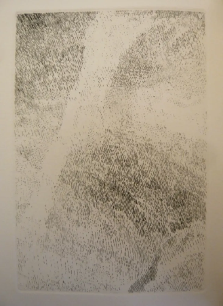 Libro Ilustrado Celan Lestrange - Protocole