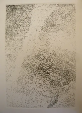 Libro Ilustrado Celan Lestrange - Protocole