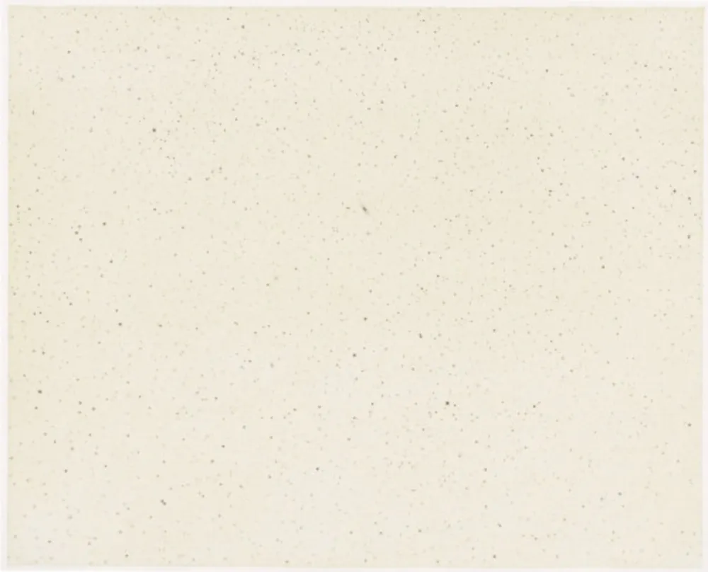 Múltiple Celmins - Night Sky 1 ( Reversed )