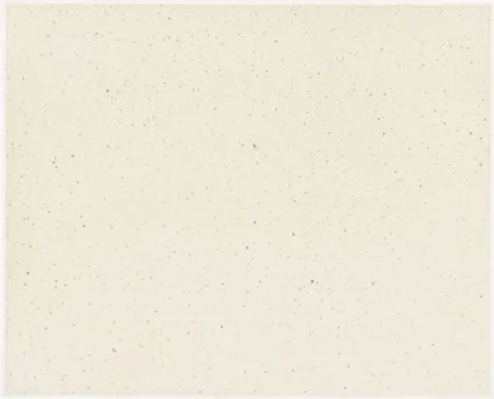 Múltiple Celmins - Night Sky 1 ( Reversed )