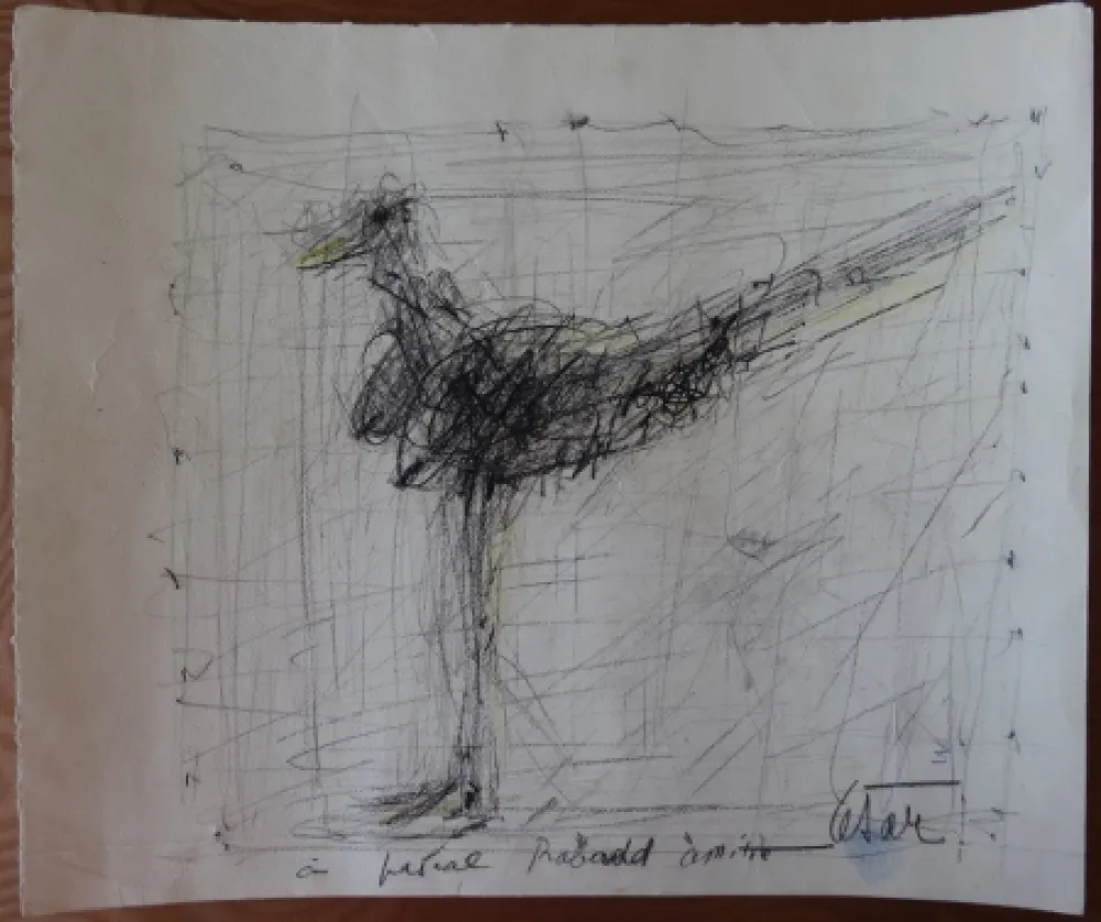 Sin Técnico Cesar - La poule