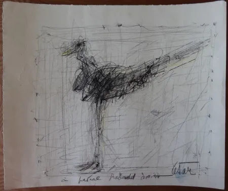 Sin Técnico Cesar - La poule