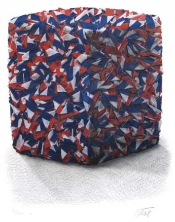 Serigrafía Cesar - Portrait comp. drapeaux Français