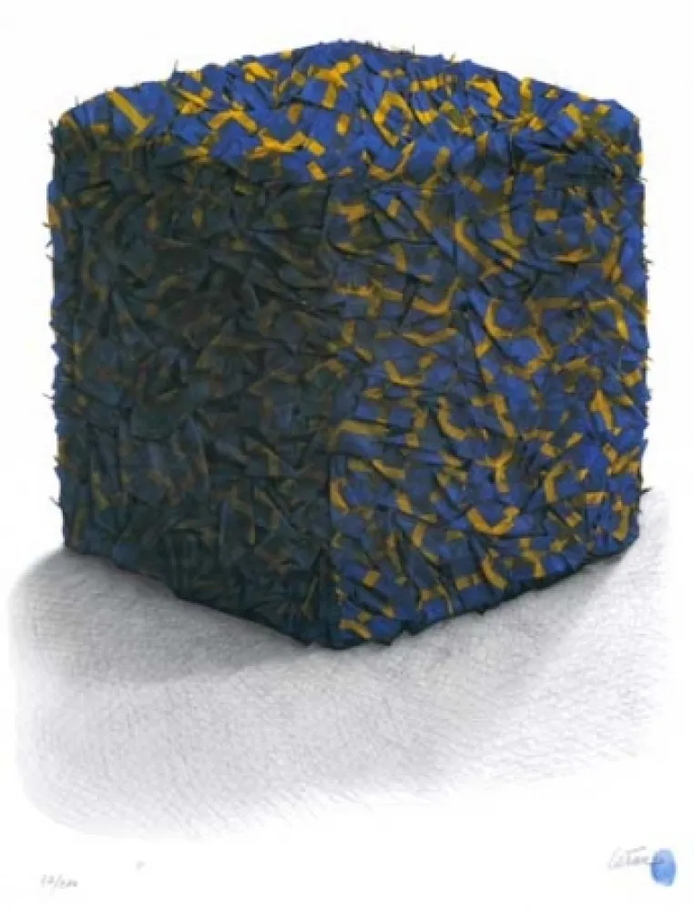 Serigrafía Cesar - Portrait comp. drapeaux Suédois