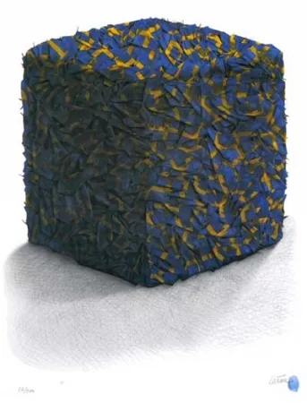 Serigrafía Cesar - Portrait comp. drapeaux Suédois