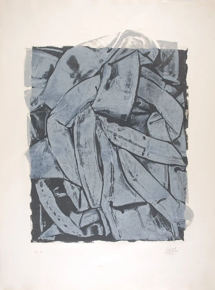 Monotipo Cesar - Portrait de Compression