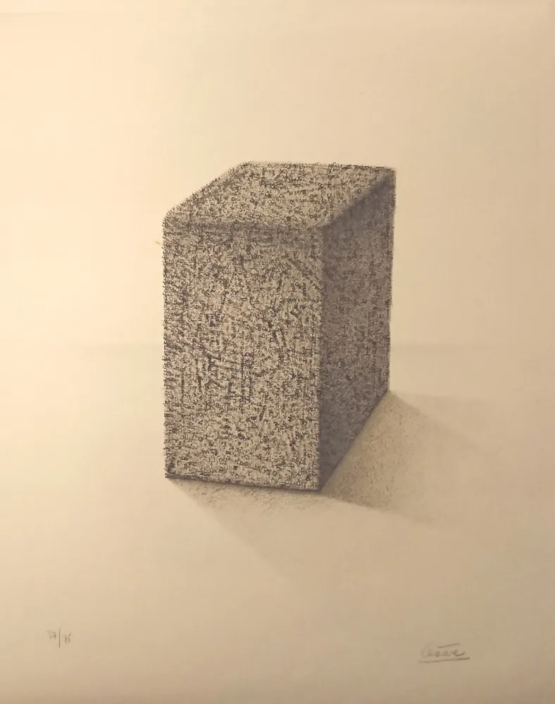 Litografía Cesar - ' Portrait de Compression '