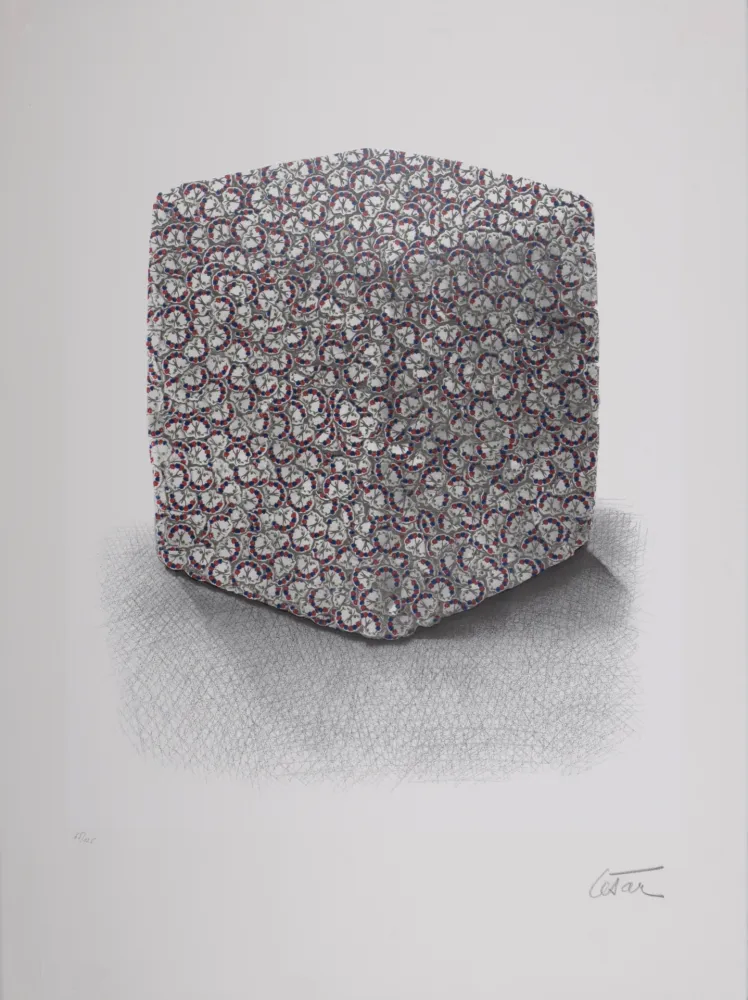 Serigrafía Cesar - Portrait de Compression, C. 1980-1985