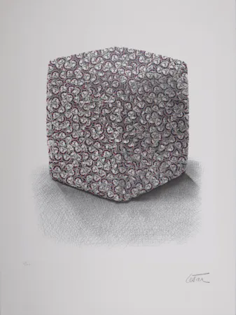 Serigrafía Cesar - Portrait de Compression, C. 1980-1985