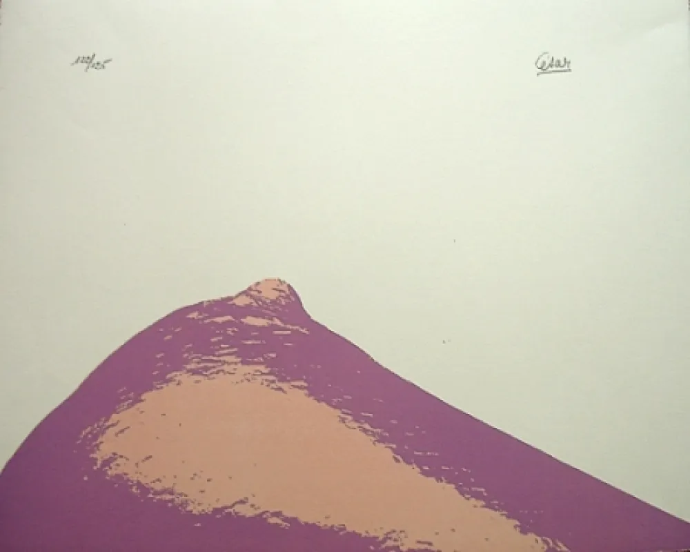 Litografía Cesar - Senza titolo,