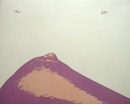 Litografía Cesar - Senza titolo,