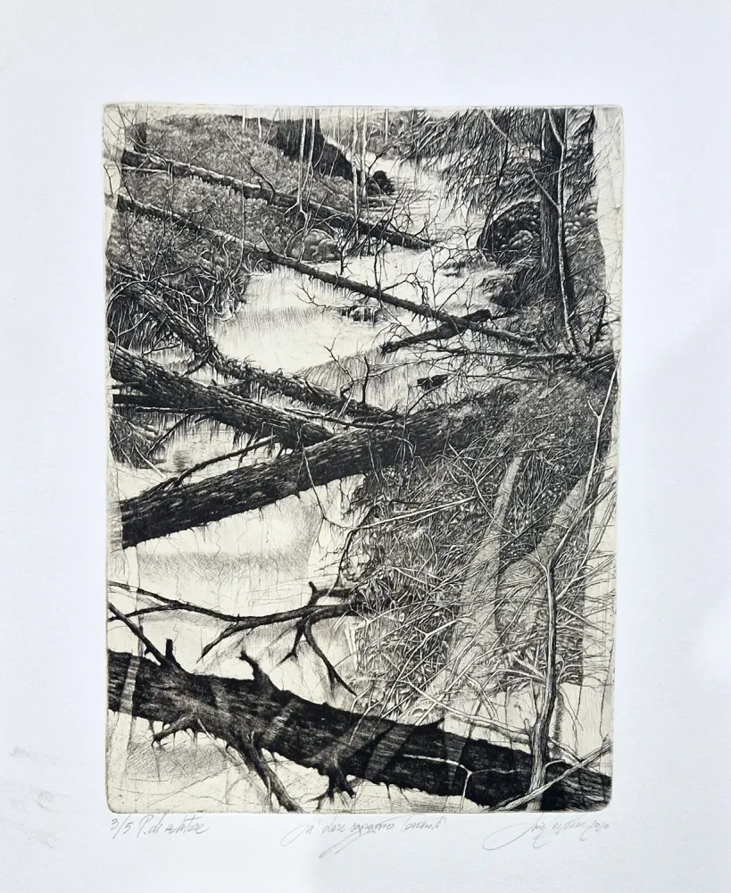 Aguafuerte Ceschin - Là dove sgorgano torrenti