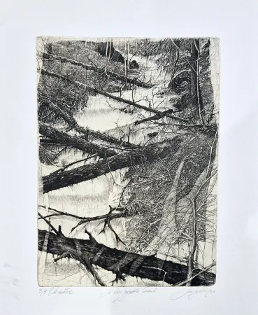 Aguafuerte Ceschin - Là dove sgorgano torrenti