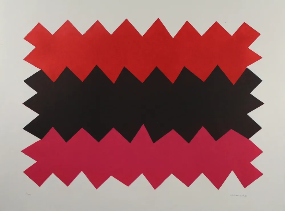 Aguatinta Chancho - Montserrat 1