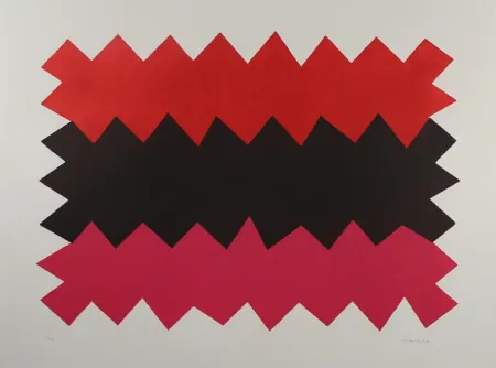 Aguatinta Chancho - Montserrat 1