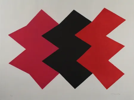 Aguatinta Chancho - Montserrat 2