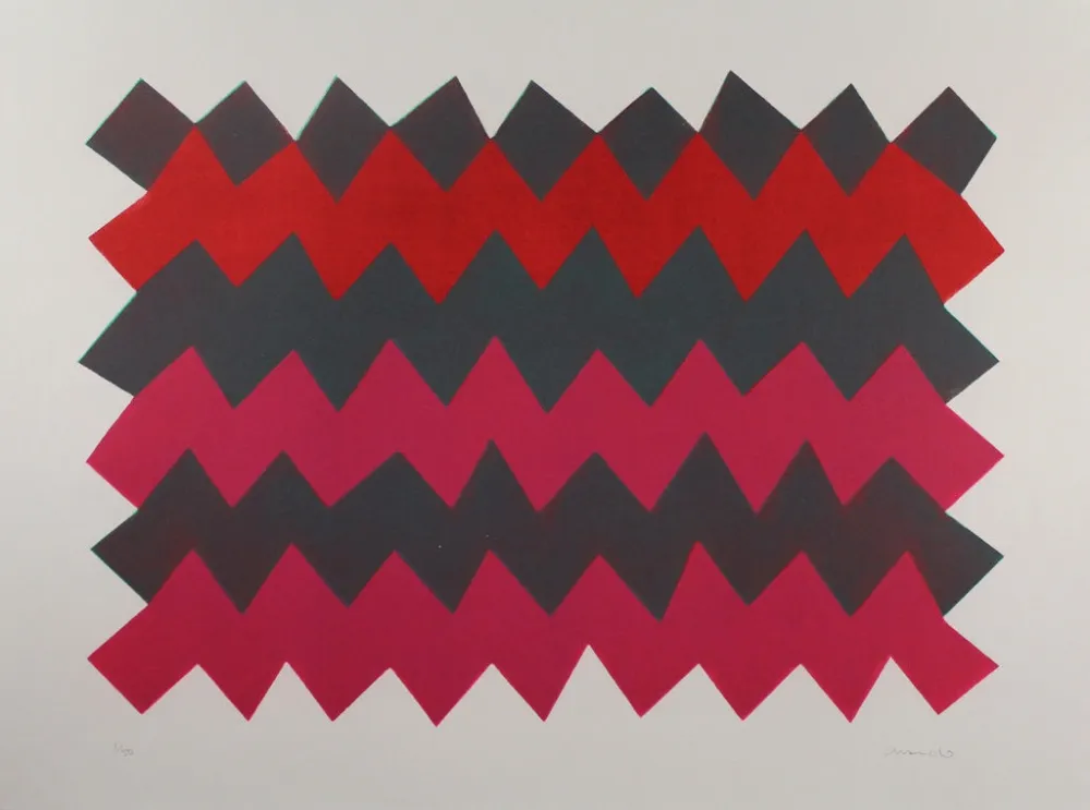 Aguatinta Chancho - Montserrat 3