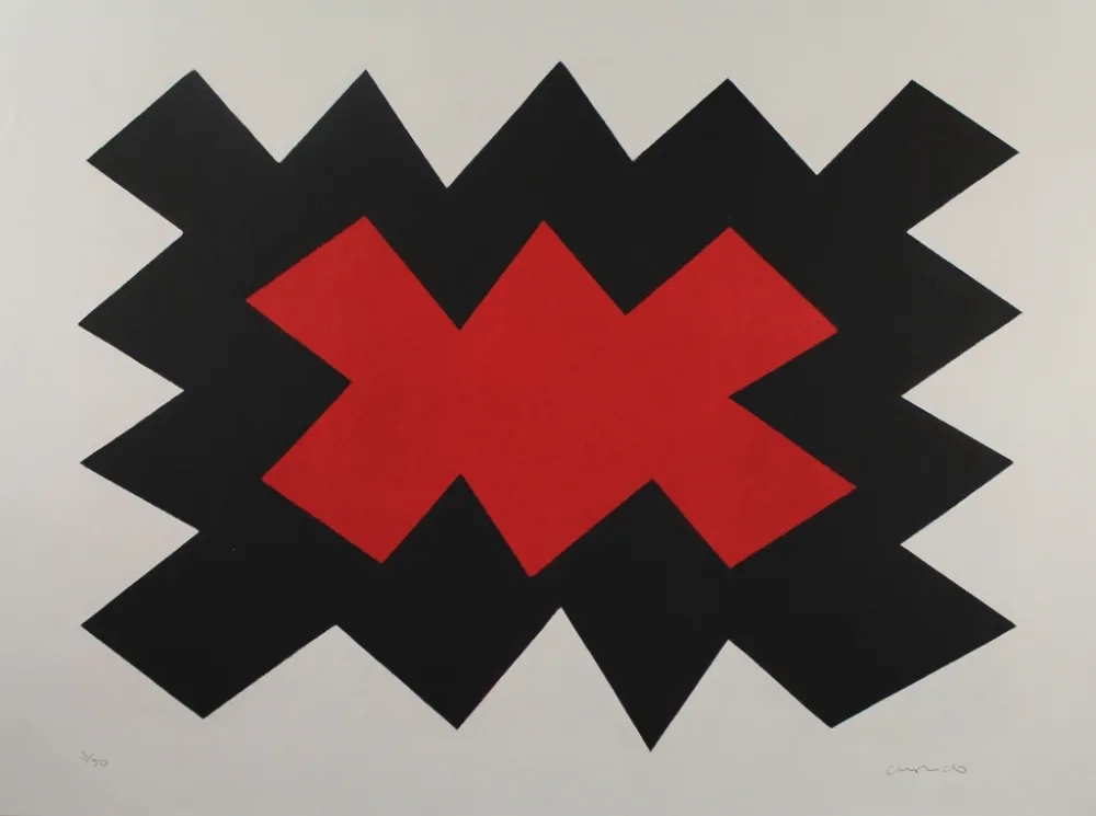 Aguatinta Chancho - Montserrat 5