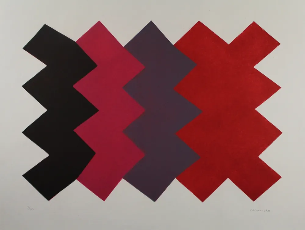 Aguatinta Chancho - Montserrat 6