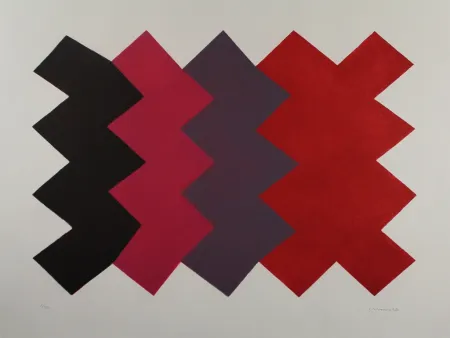 Aguatinta Chancho - Montserrat 6