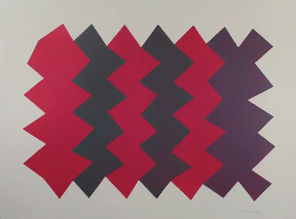 Aguatinta Chancho - Montserrat 7