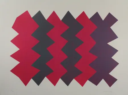 Aguatinta Chancho - Montserrat 7